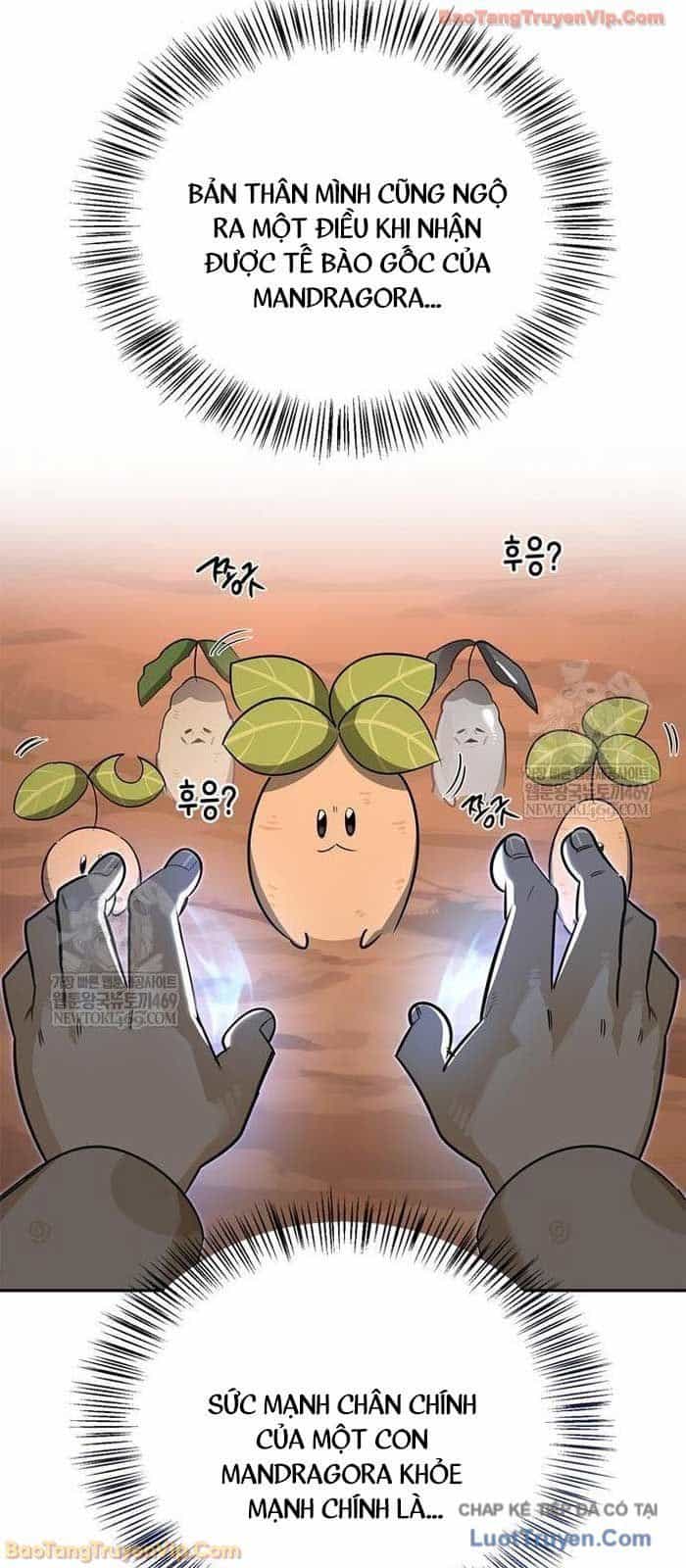 Healer Cấp S Chữa Trị Cho Quái Vật - Chương 25 - ảnh 8