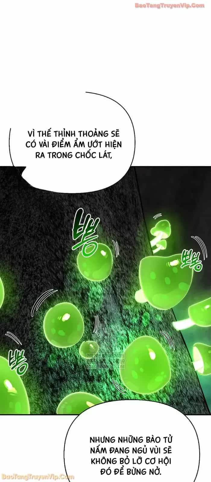 Healer Cấp S Chữa Trị Cho Quái Vật - Chương 33 - ảnh 48