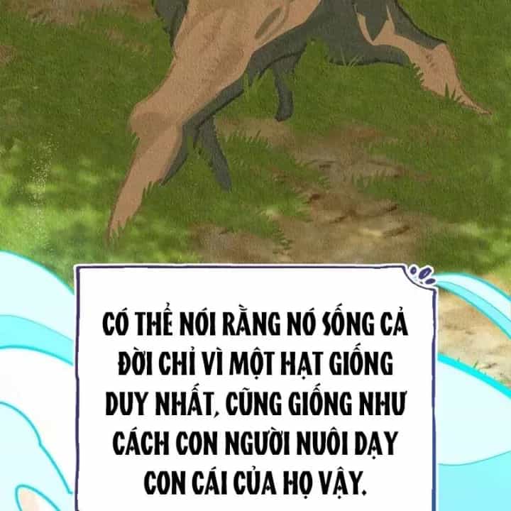 Healer Cấp S Chữa Trị Cho Quái Vật - Chương 36 - ảnh 202