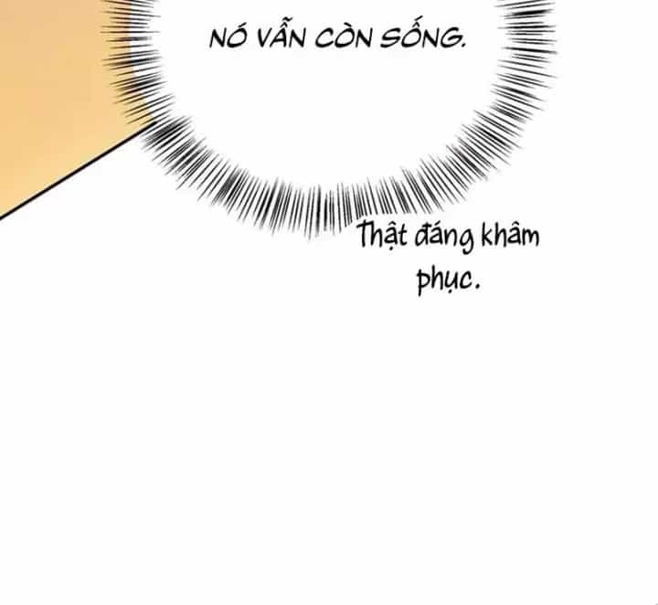 Healer Cấp S Chữa Trị Cho Quái Vật - Chương 36 - ảnh 73