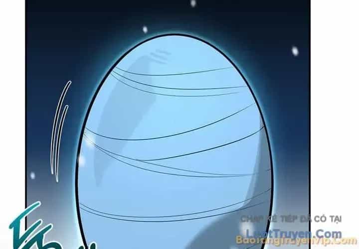 Healer Cấp S Chữa Trị Cho Quái Vật - Chương 45 - ảnh 63