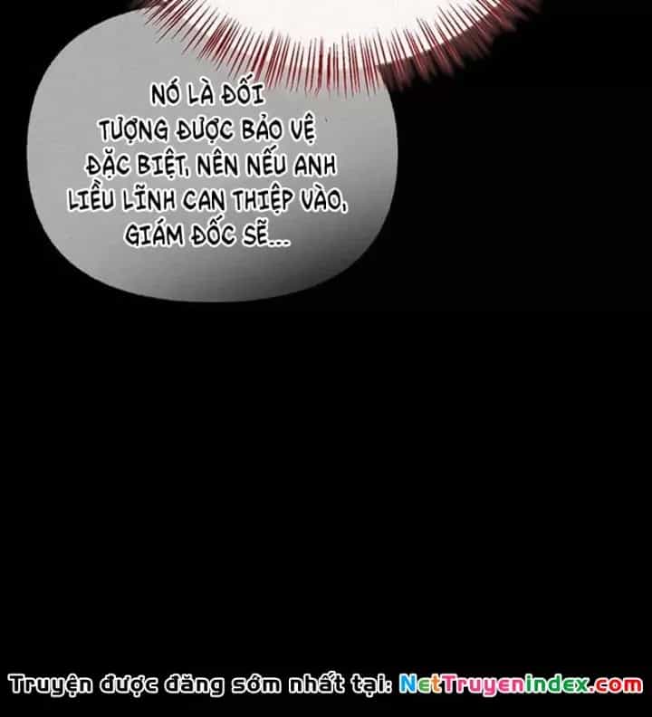 Healer Cấp S Chữa Trị Cho Quái Vật - Chương 48 - ảnh 81