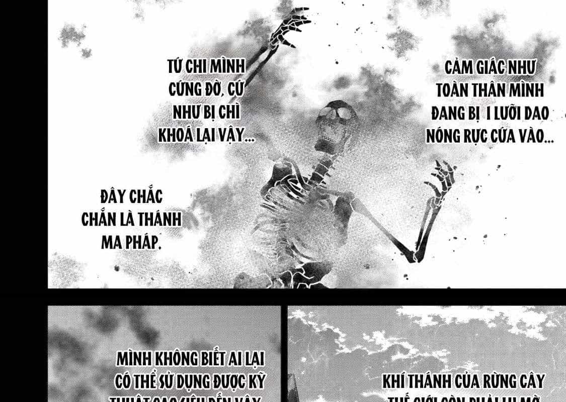 Hiền Giả Trở Thành Lich - Chương 24 - ảnh 16