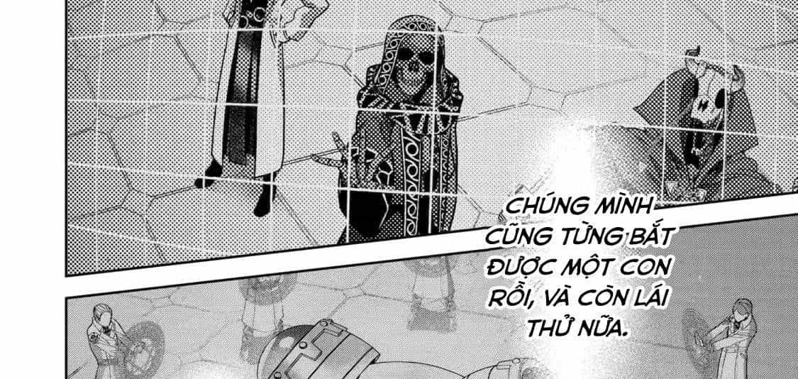 Hiền Giả Trở Thành Lich - Chương 38 - ảnh 5