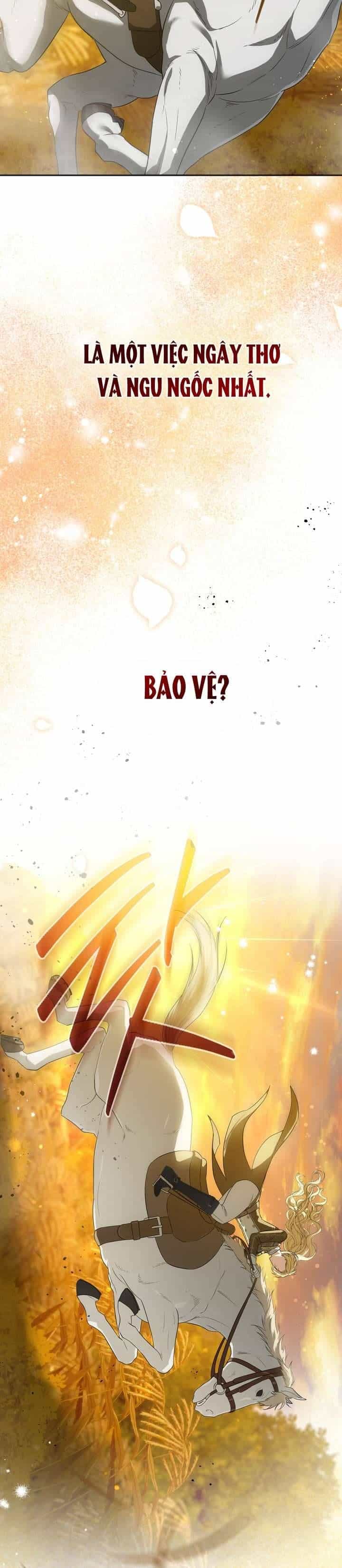 Hiệp Sĩ Vàng - Chương 3 - ảnh 16