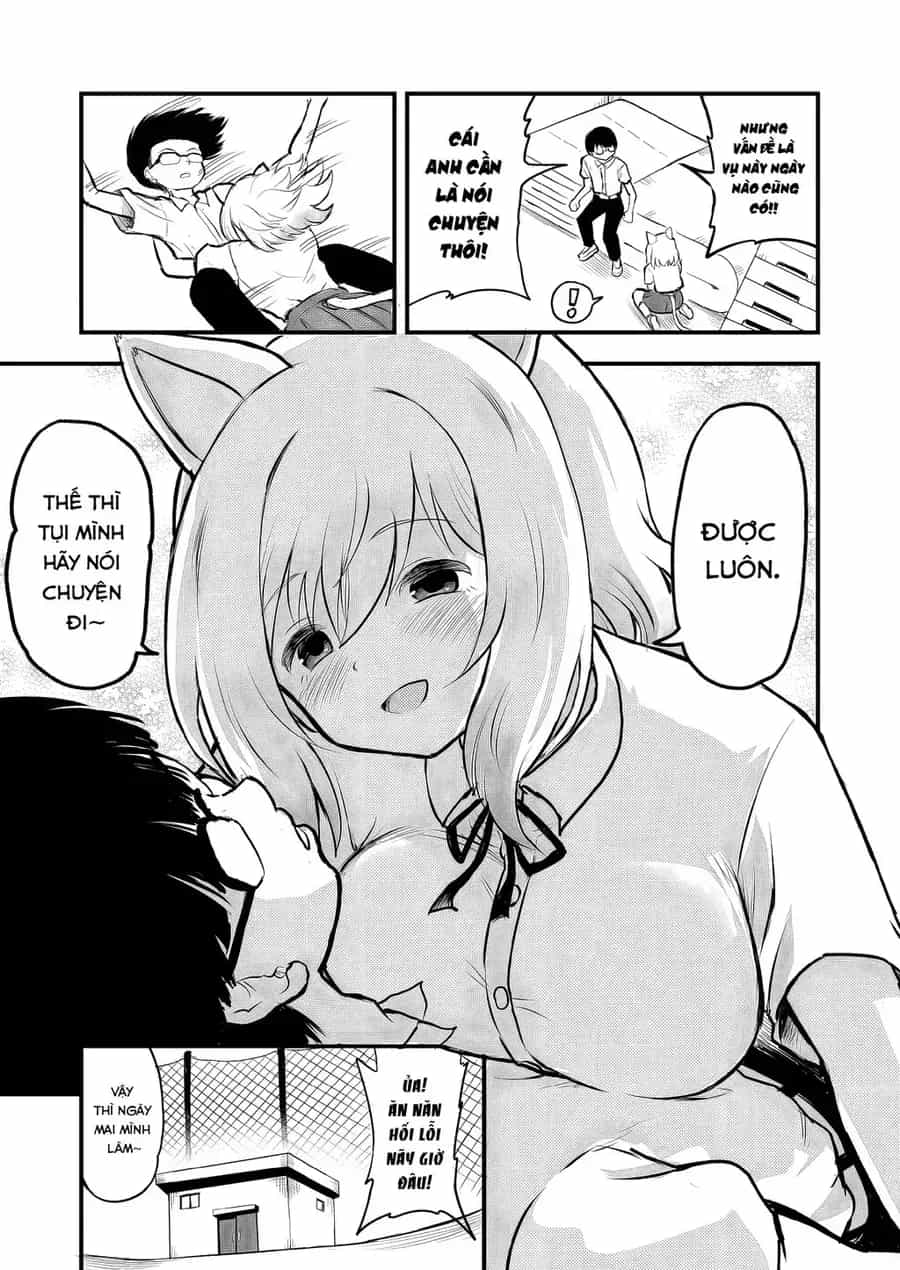 Higawari Shippo No Ozaki-Chan - Chương 22 - ảnh 2