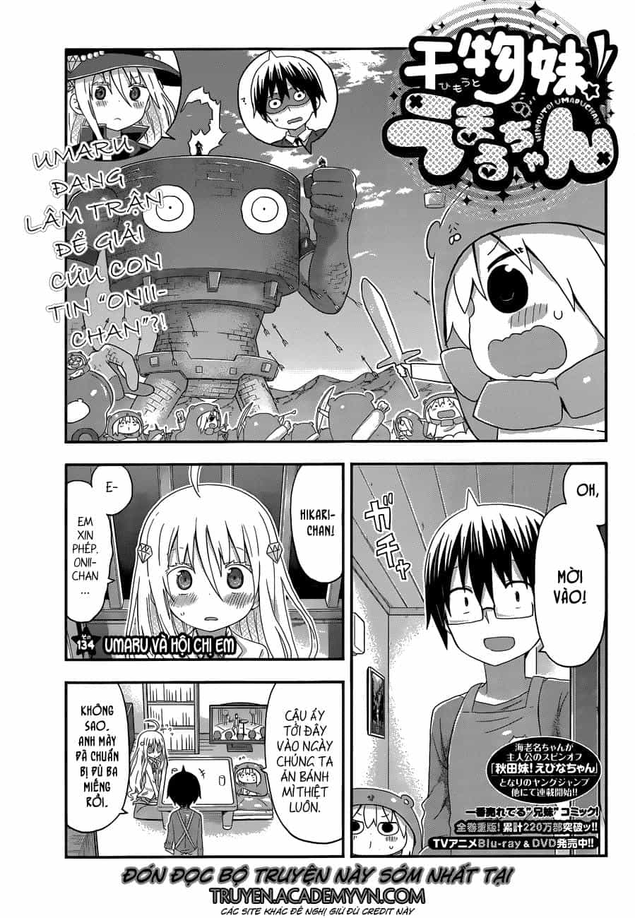 Himouto! Umaru-Chan - Chương 134 - ảnh 1