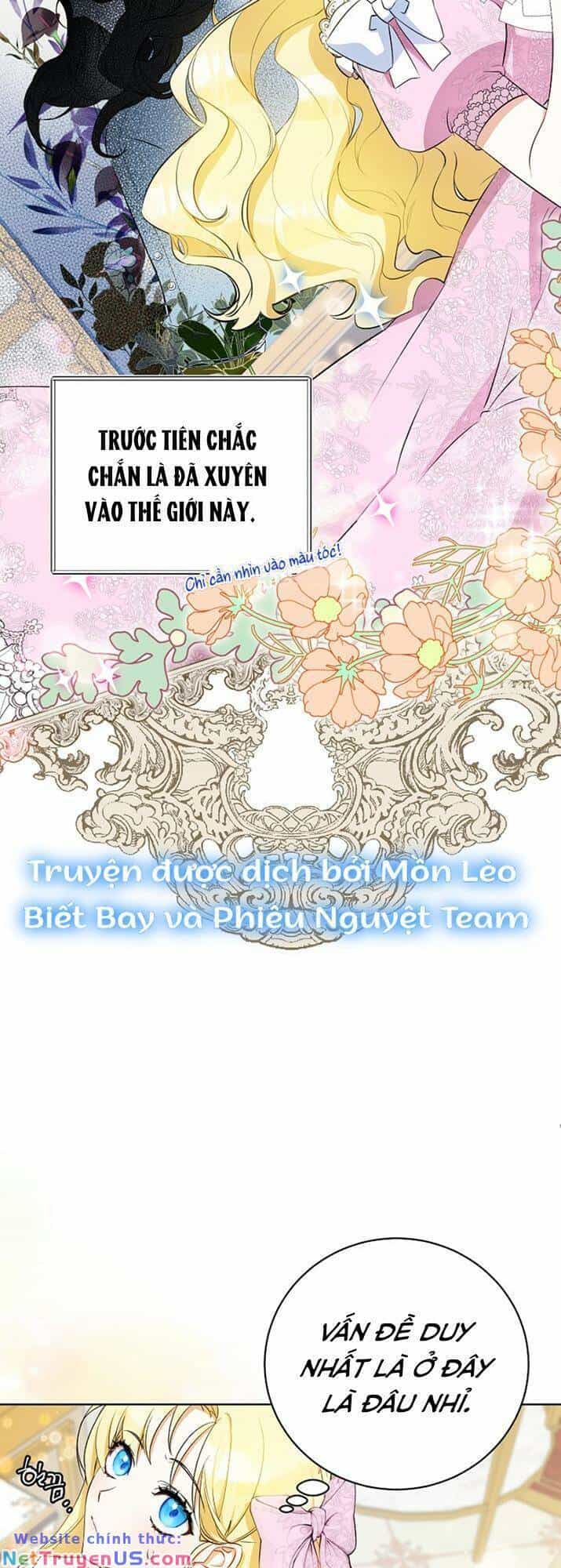 Hình Như Tôi Đã Xuyên Vào Cuốn Tiểu Thuyết Nào Đó - Chương 1 - ảnh 19