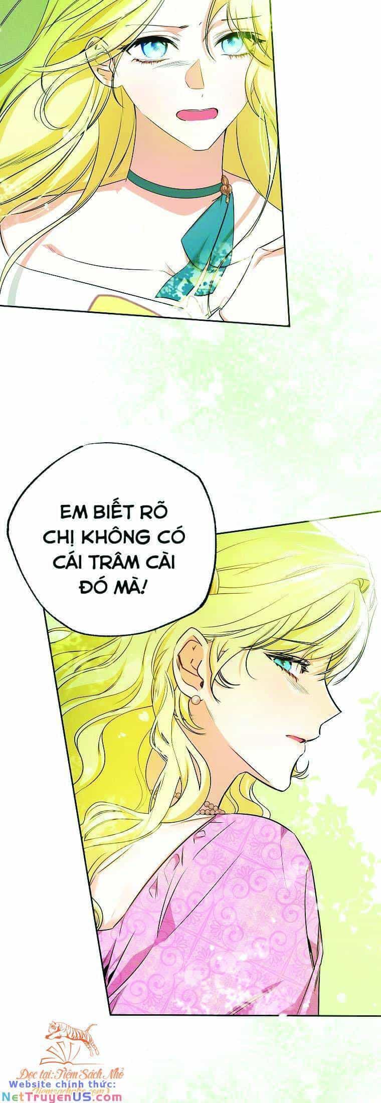 Hình Như Tôi Đã Xuyên Vào Cuốn Tiểu Thuyết Nào Đó - Chương 15 - ảnh 13