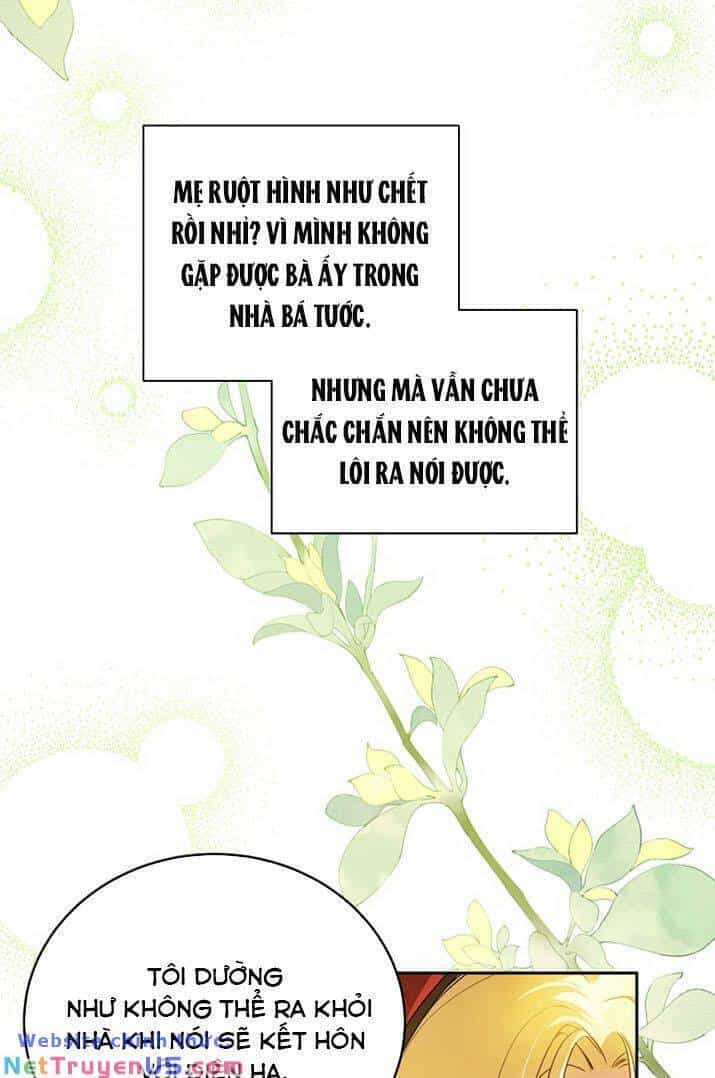 Hình Như Tôi Đã Xuyên Vào Cuốn Tiểu Thuyết Nào Đó - Chương 2 - ảnh 40