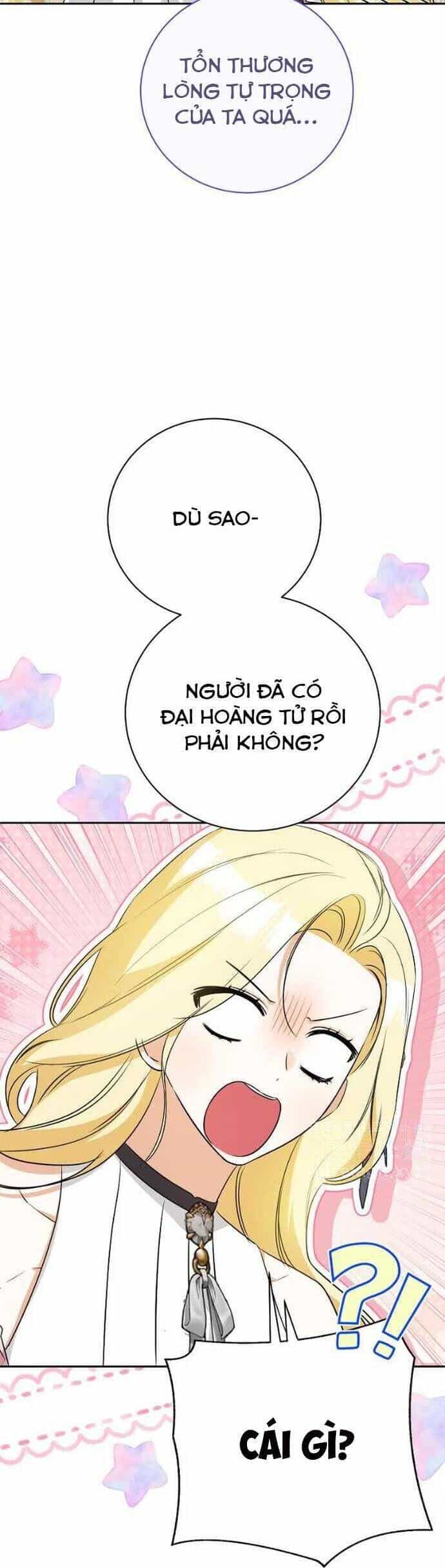 Hình Như Tôi Đã Xuyên Vào Cuốn Tiểu Thuyết Nào Đó - Chương 27 - ảnh 26