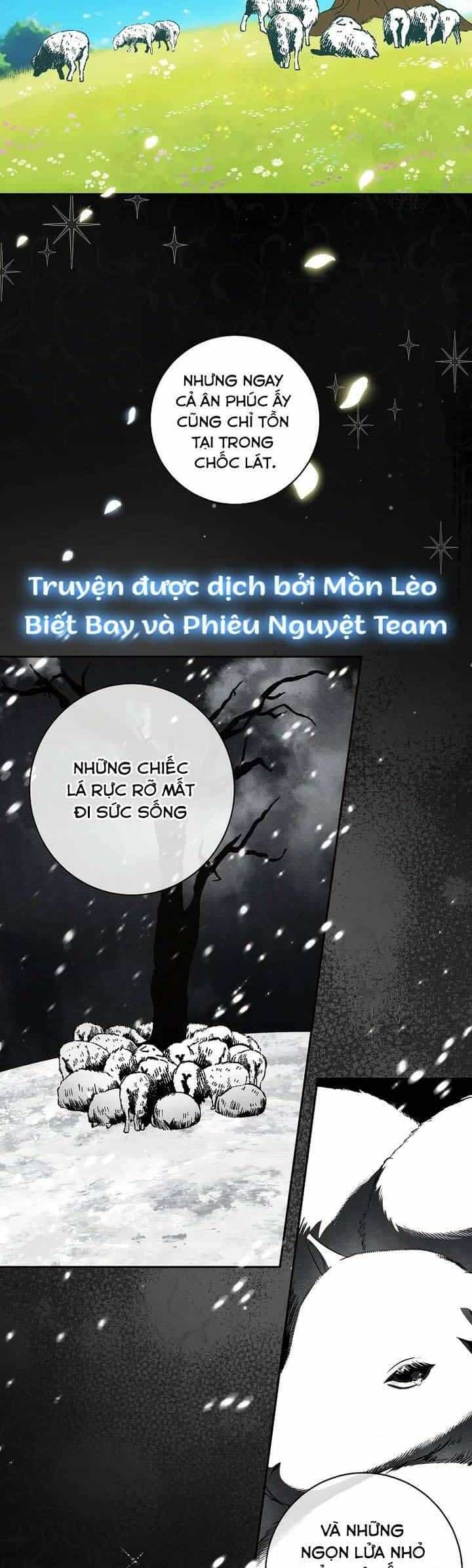 Hình Như Tôi Đã Xuyên Vào Cuốn Tiểu Thuyết Nào Đó - Chương 74 - ảnh 3