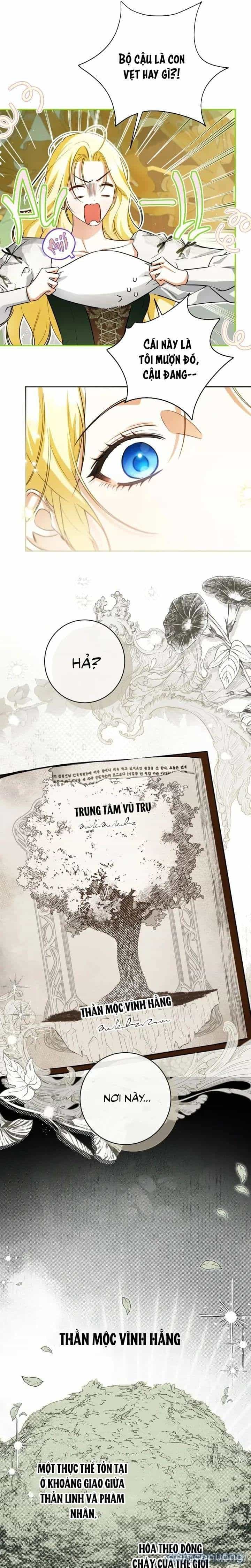 Hình Như Tôi Đã Xuyên Vào Cuốn Tiểu Thuyết Nào Đó - Chương 83 - ảnh 4