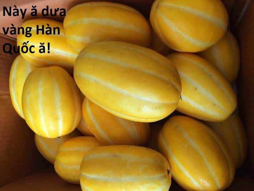 Hổ Đến Chơi Nhà - Chương 108 - ảnh 88
