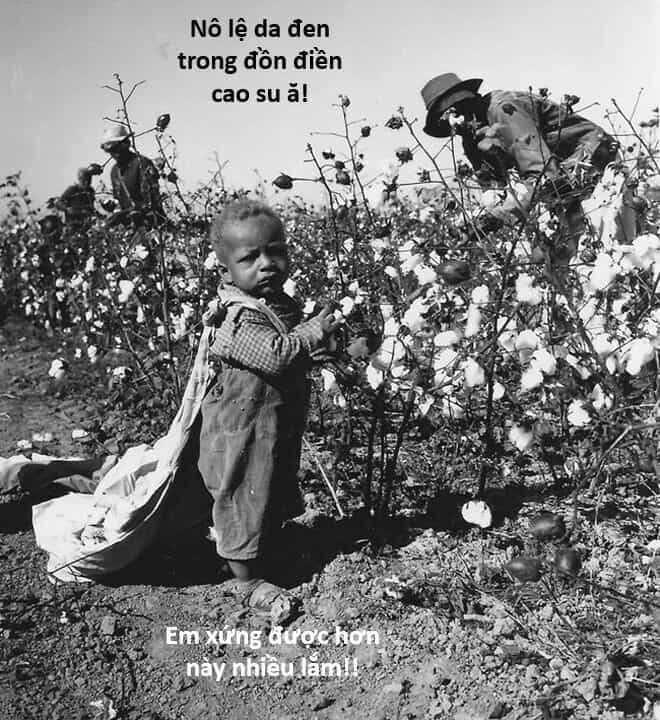 Hổ Đến Chơi Nhà - Chương 127 - ảnh 136