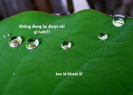 Hổ Đến Chơi Nhà - Chương 131 - ảnh 124