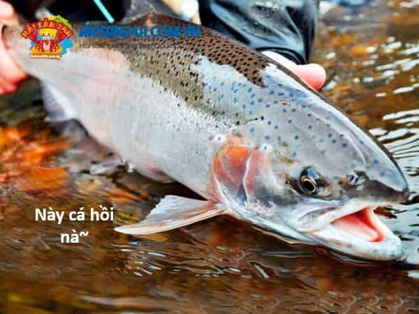 Hổ Đến Chơi Nhà - Chương 131 - ảnh 125