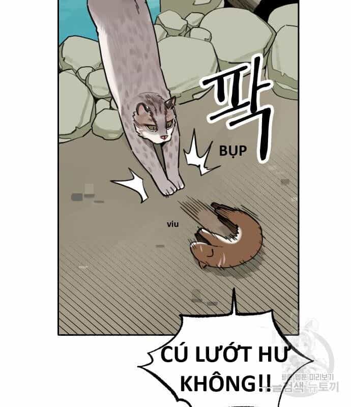 Hổ Đến Chơi Nhà - Chương 131 - ảnh 15