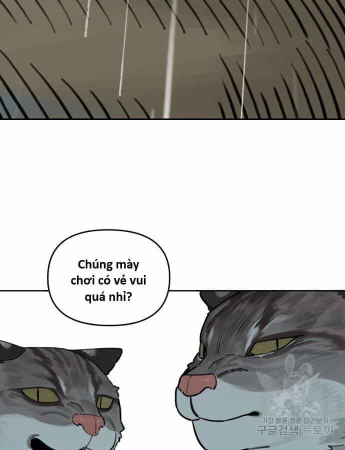 Hổ Đến Chơi Nhà - Chương 132 - ảnh 43