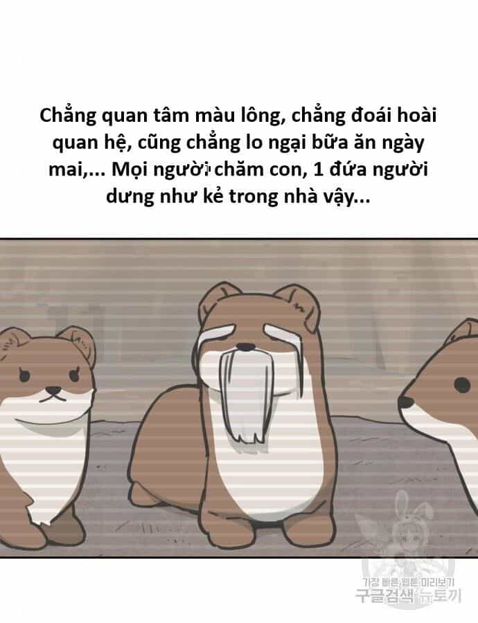 Hổ Đến Chơi Nhà - Chương 132 - ảnh 71