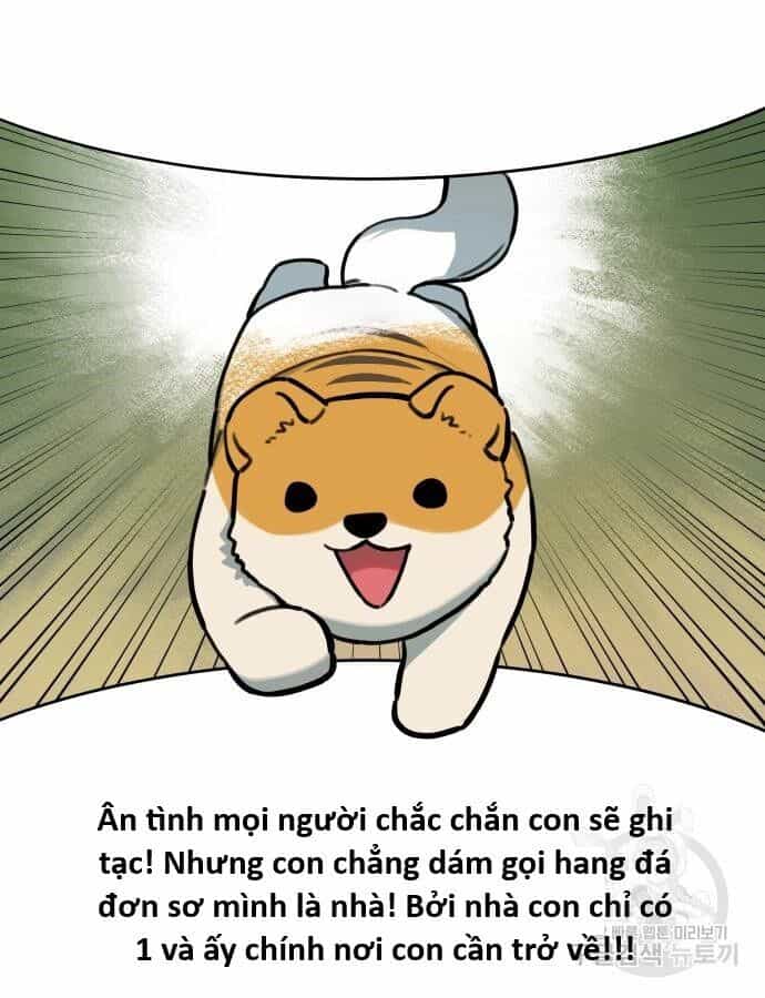 Hổ Đến Chơi Nhà - Chương 132 - ảnh 80