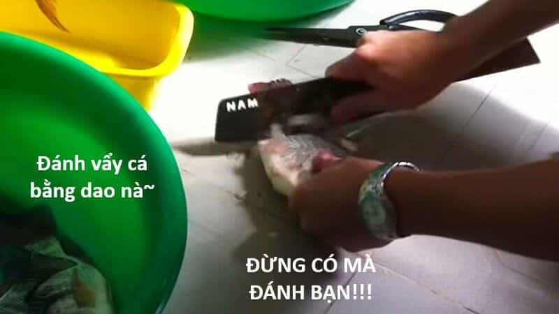 Hổ Đến Chơi Nhà - Chương 136 - ảnh 49