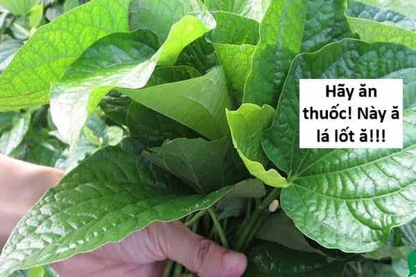 Hổ Đến Chơi Nhà - Chương 139 - ảnh 49