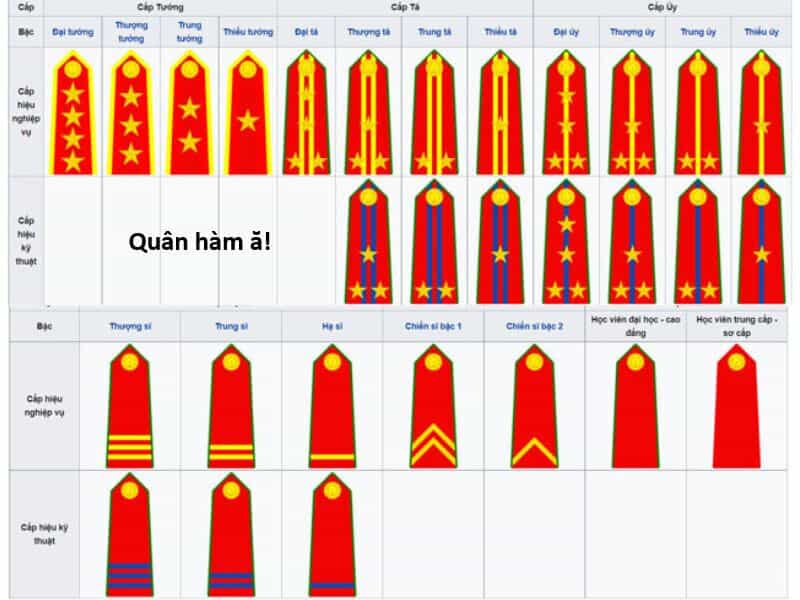 Hổ Đến Chơi Nhà - Chương 139 - ảnh 54