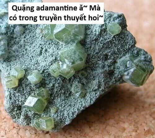 Hổ Đến Chơi Nhà - Chương 141 - ảnh 101