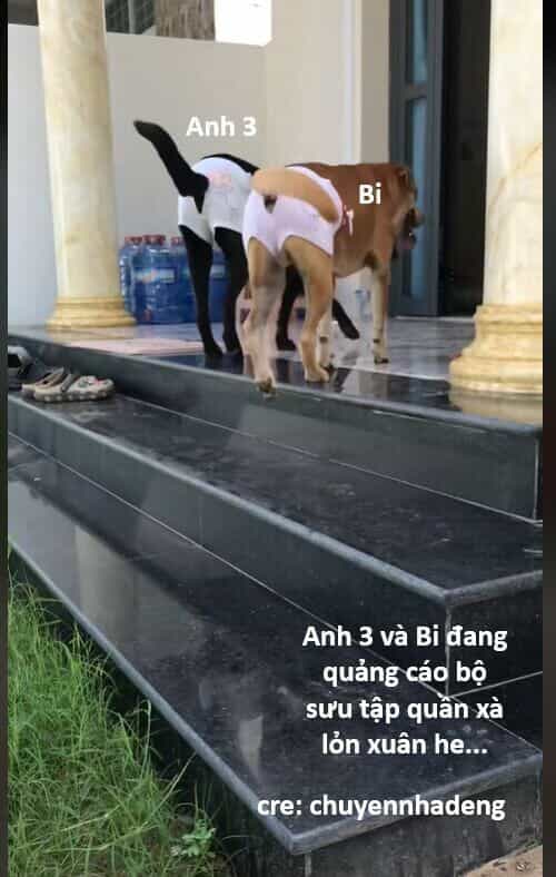 Hổ Đến Chơi Nhà - Chương 142 - ảnh 81