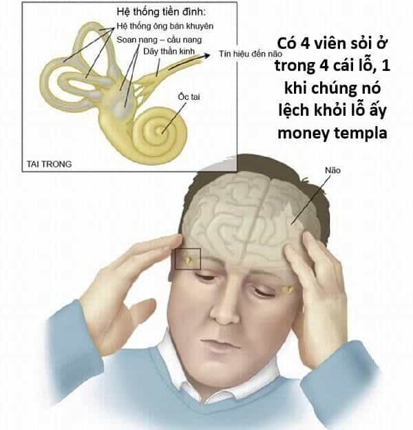 Hổ Đến Chơi Nhà - Chương 144 - ảnh 74