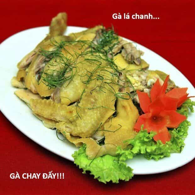 Hổ Đến Chơi Nhà - Chương 145 - ảnh 31
