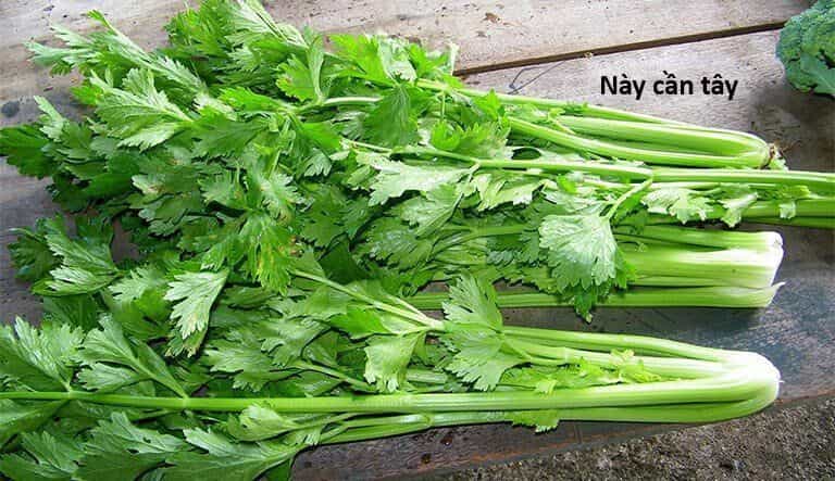 Hổ Đến Chơi Nhà - Chương 145 - ảnh 32