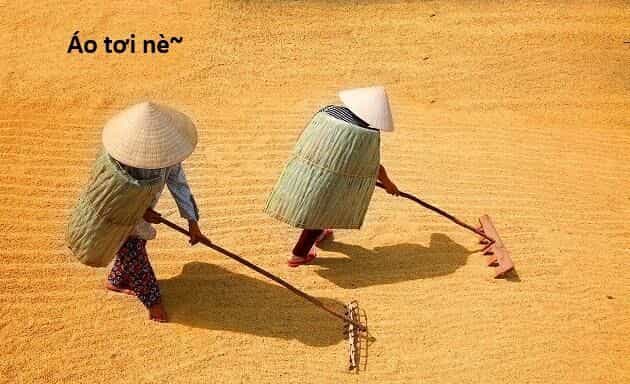 Hổ Đến Chơi Nhà - Chương 146 - ảnh 102