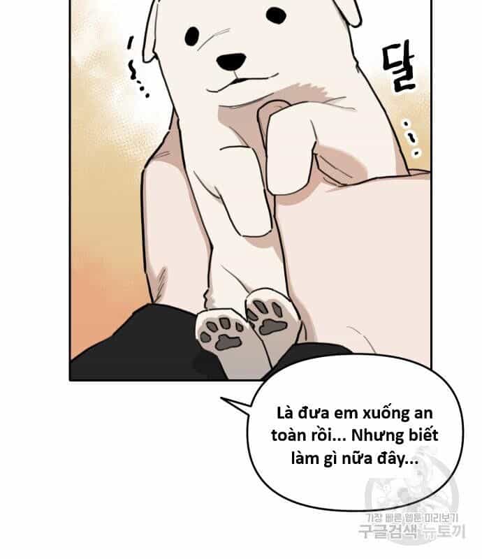 Hổ Đến Chơi Nhà - Chương 146 - ảnh 24