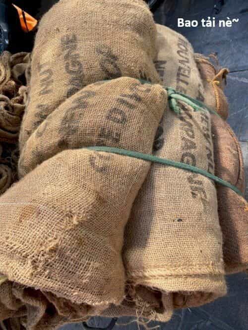 Hổ Đến Chơi Nhà - Chương 147 - ảnh 61