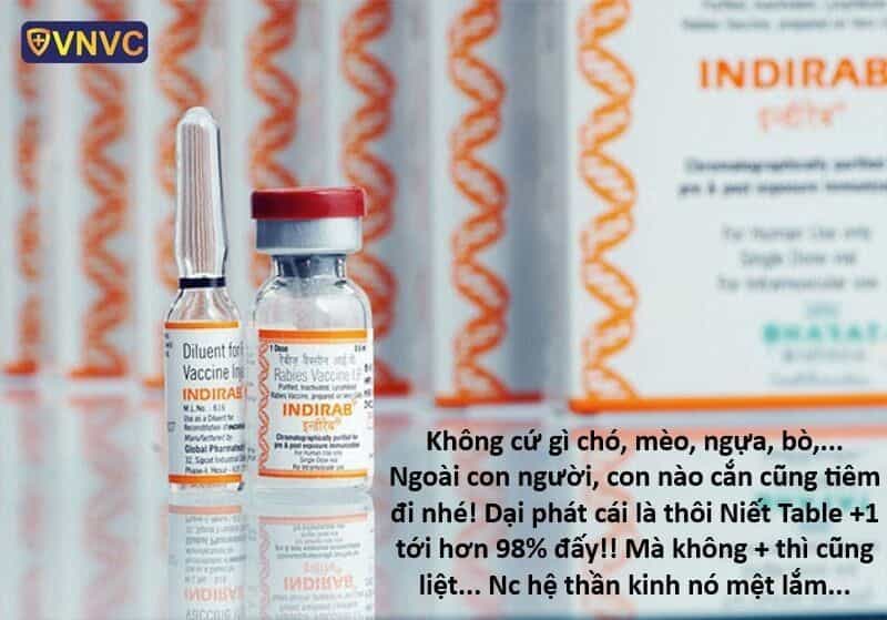 Hổ Đến Chơi Nhà - Chương 151 - ảnh 10