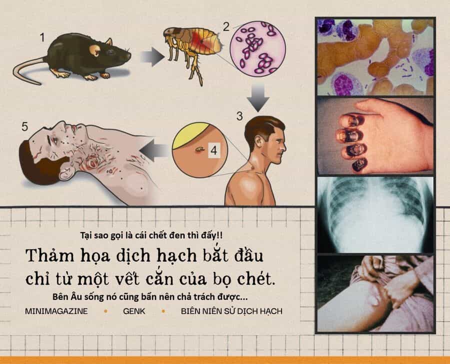 Hổ Đến Chơi Nhà - Chương 156 - ảnh 18