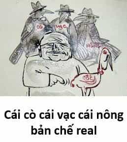 Hổ Đến Chơi Nhà - Chương 171 - ảnh 13