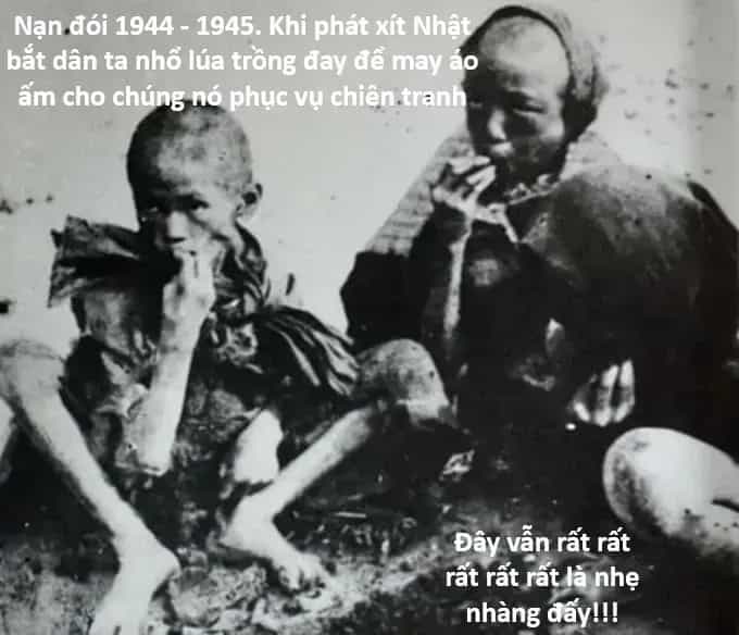 Hổ Đến Chơi Nhà - Chương 178 - ảnh 3