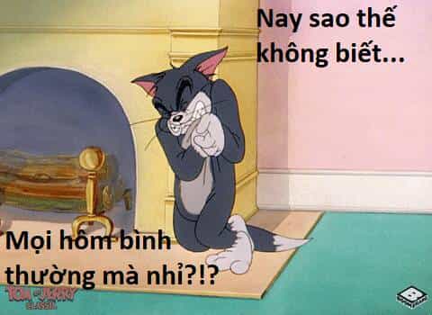Hổ Đến Chơi Nhà - Chương 91 - ảnh 44