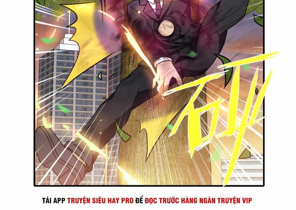 Hộ Hoa Cao Thủ Tại Đô Thị - Chương 116 - ảnh 6