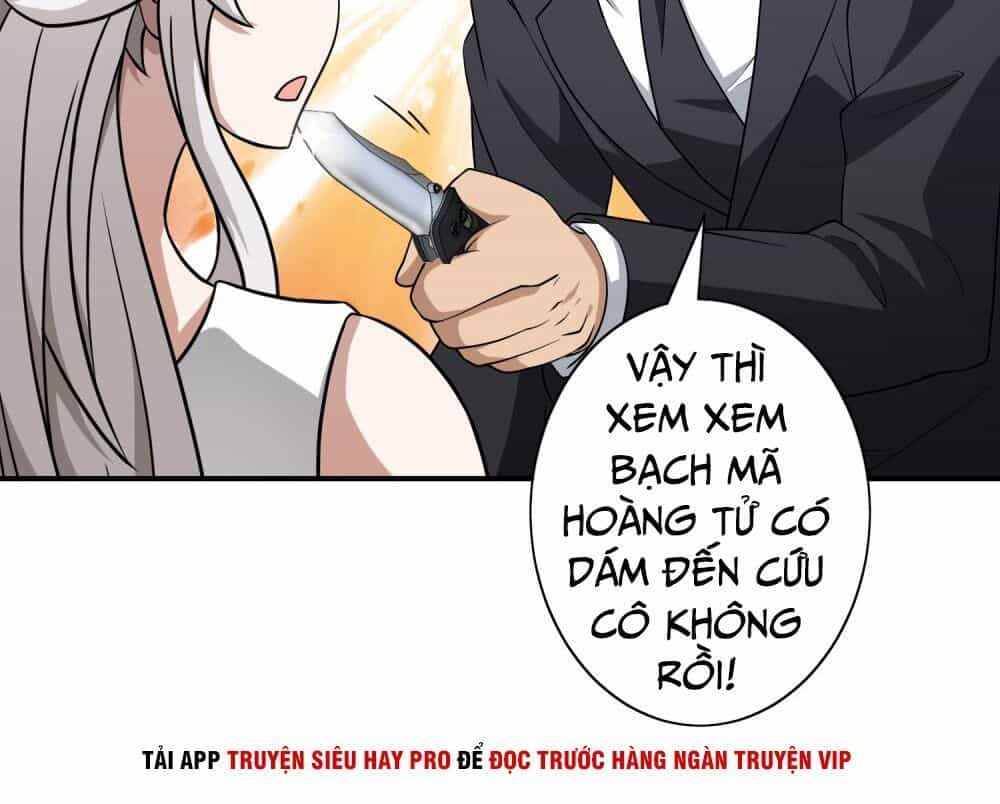 Hộ Hoa Cao Thủ Tại Đô Thị - Chương 120 - ảnh 28