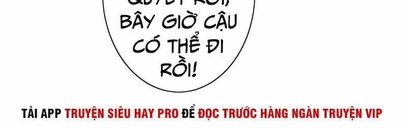 Hộ Hoa Cao Thủ Tại Đô Thị - Chương 144 - ảnh 4