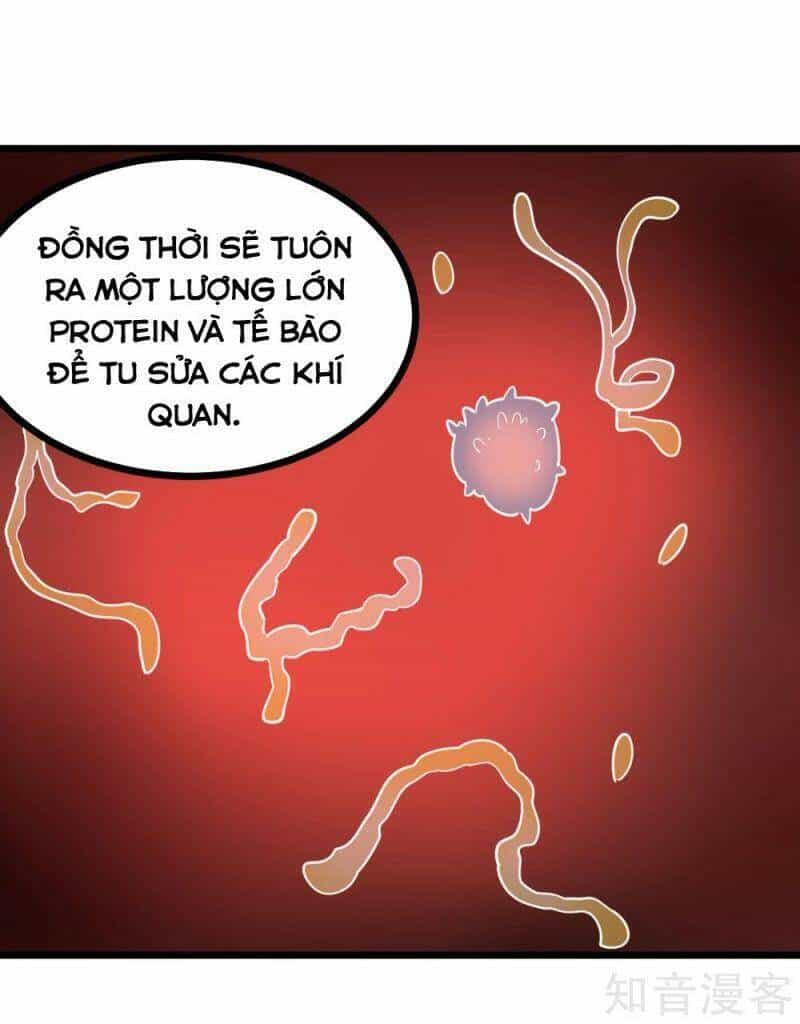 Hộ Hoa Cao Thủ Tại Vườn Trường - Chương 225 - ảnh 15