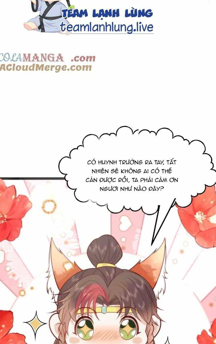 Hồ Ly Cáo Già Và Bạch Liên Hoa Cao Lãnh , Ai Sẽ Lộ Tẩy Trước Đây? - Chương 41 - ảnh 30