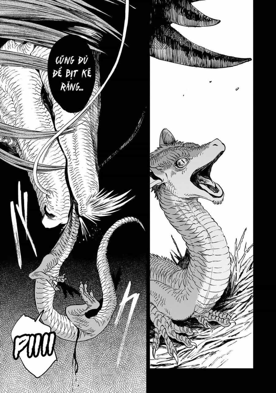 Hổ Vẫn Chưa Muốn Xơi Rồng - Chương 4 - ảnh 5