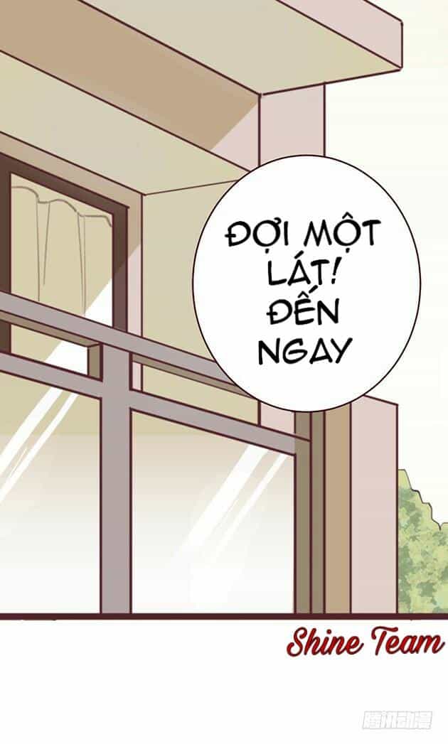 Hoa Anh Đào Rơi Đẹp Như Em - Chương 1 - ảnh 72