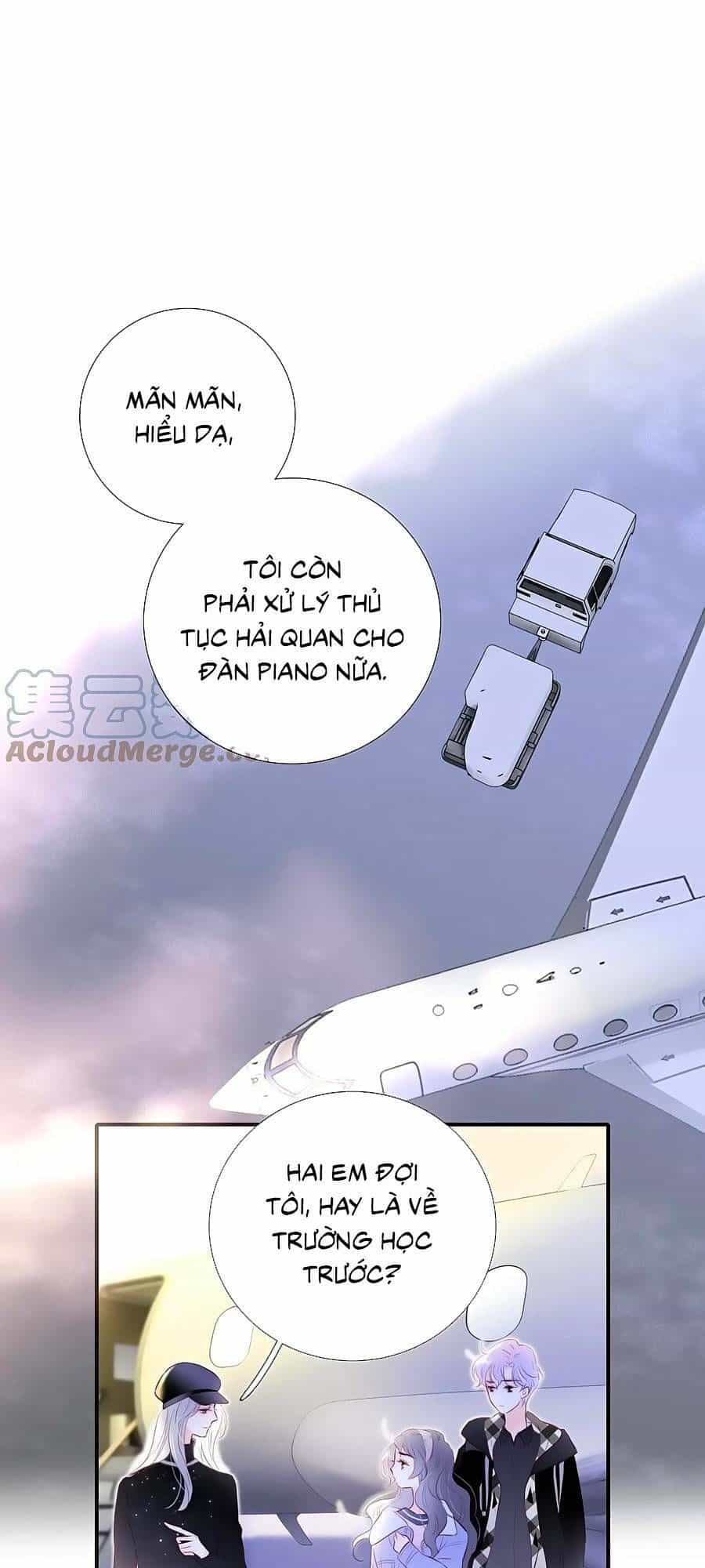 Hoa Bỏ Chạy Với Nhím Rồi - Chương 86 - ảnh 11