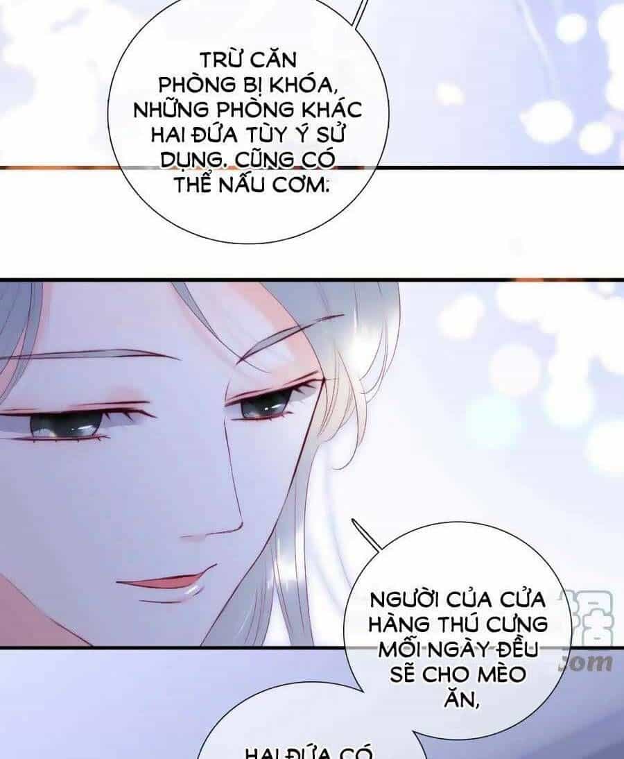 Hoa Bỏ Chạy Với Nhím Rồi - Chương 90 - ảnh 20